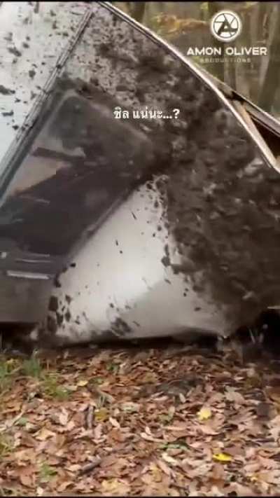 WOW! What a great car to drive in the woods...