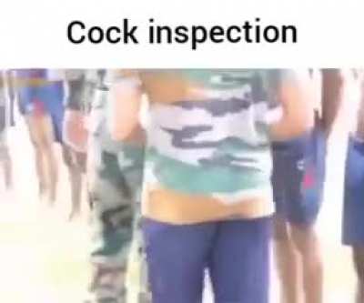 Cock