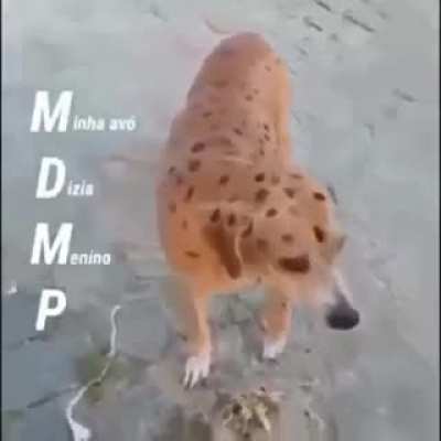m