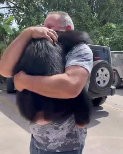 Wholesome monke moment