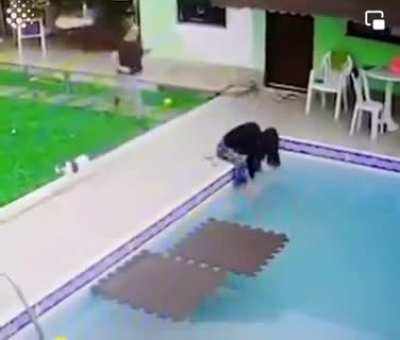 To save your kid