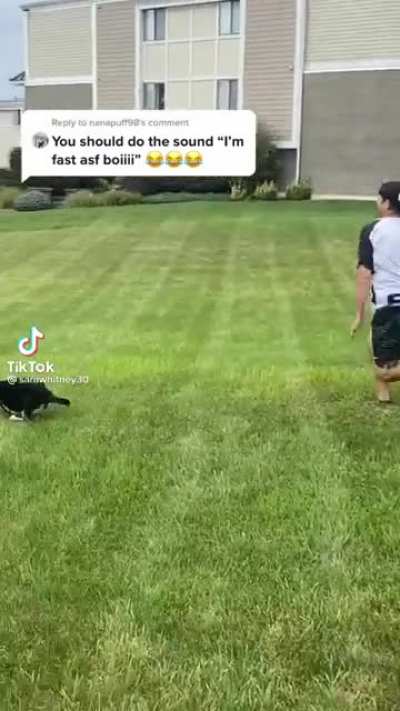 Fat Cat? More like Fast Cat.. fast af