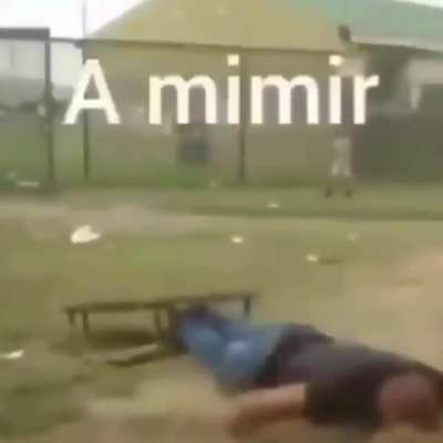 A mimir