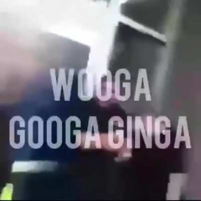 Gogagillinarie sigma grindset
