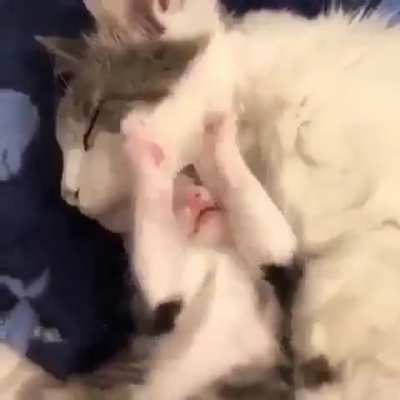 My Child Please Give Me A Break... No Mother Please I Want To Play