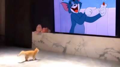 Awsome reaction