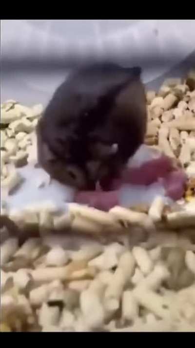 Mother of the Year