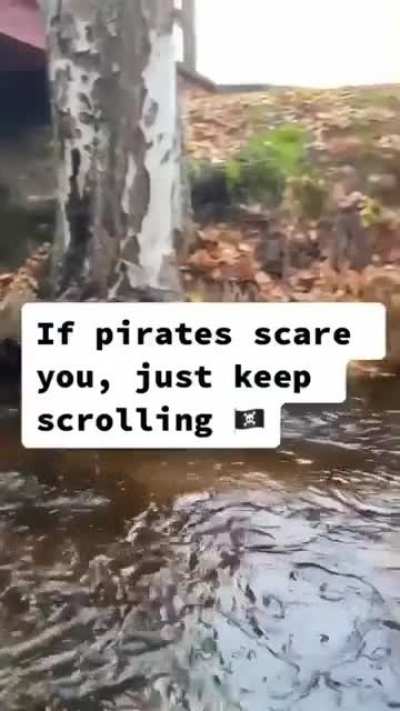 Ahoy, Matey