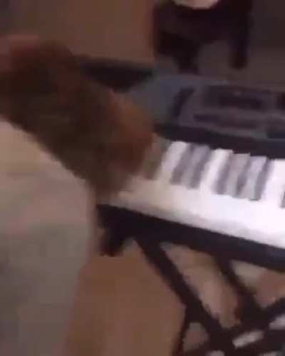 I get up