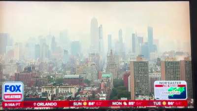 “Live in Manhattan, in NYC, with the Eiffel Tower standing in the middle of that cloud cover.” ummm 🤔 (ignore dog snoring 💤)