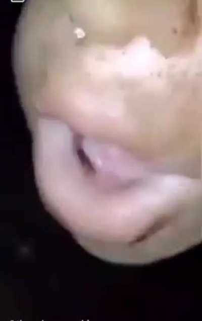 The Muffler