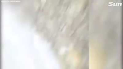 Idiot protestor attacks dude and is served justice by getting shot by the dude