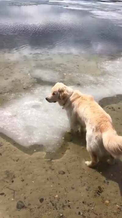 Did you see that?