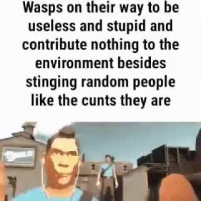 shitposting - Video #0335