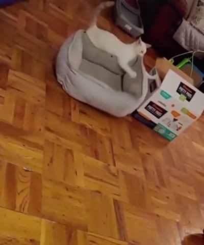 Xpost from r/ThereWasAnAttempt. Thought this belonged here.