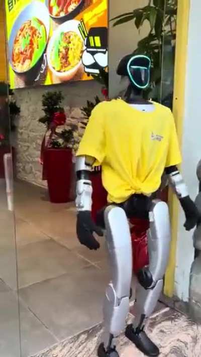 Sobre la proliferación de 'robots camareros'.