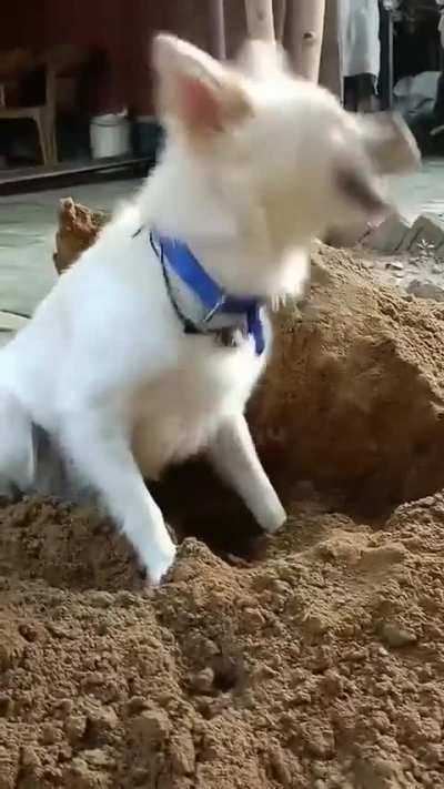 С добрым рабод<wbr>ельни<wbr>ком!
