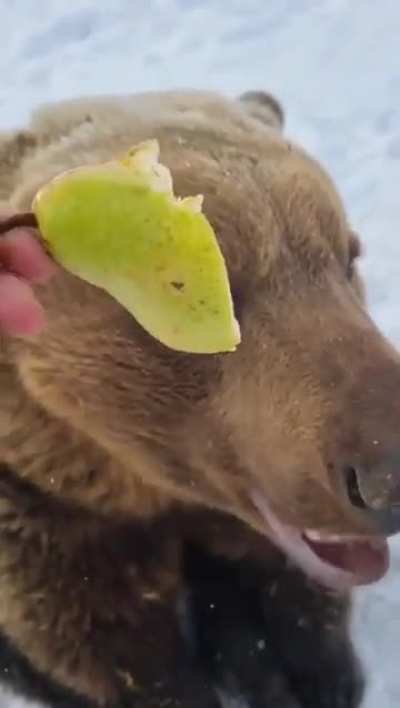 Maybe Maybe Maybe