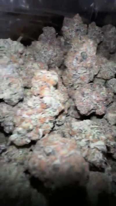 Girl Scout Cookies