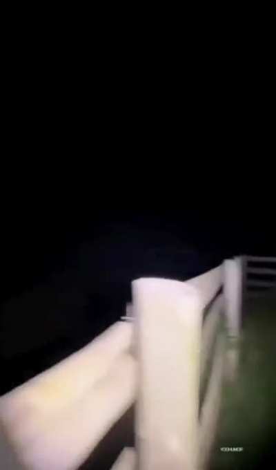 They have emerged