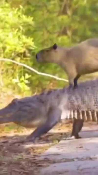 hmmm