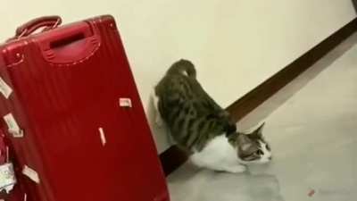 ATTACK!