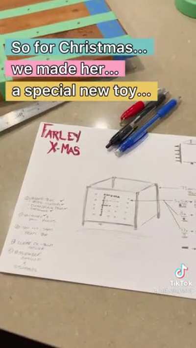 Dog's favorite toy
