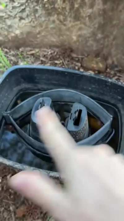 How to silence summer mosquitoes forever