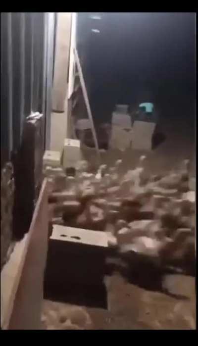 Let's release some of the ducks.