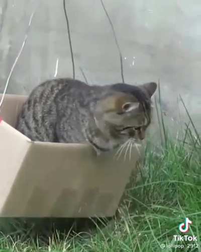 На лифте