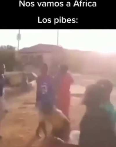 XDEE