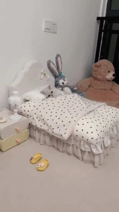Bedtime 😂