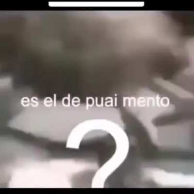 El Pana Matías ejercitándose