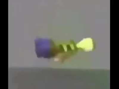 Moldy fall