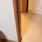 “U WOT M8?!” - cockroach prbbly
