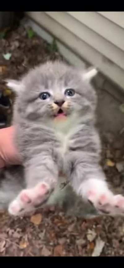 Don’t touch, he angy.