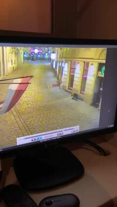 Footage of the synagogue shooting in Vienna, Austria [NSFW]