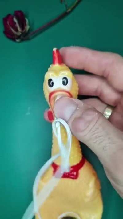 Pollo