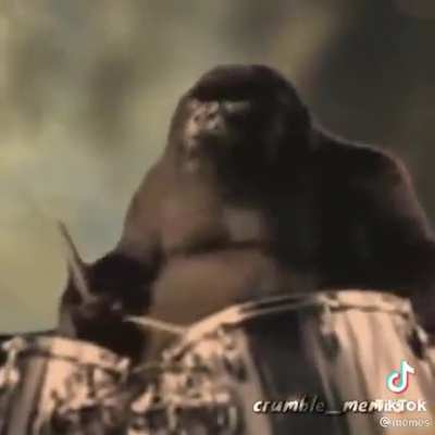 Godzilla vs King Kong