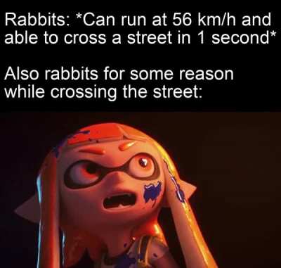 Just jump over the road, damn