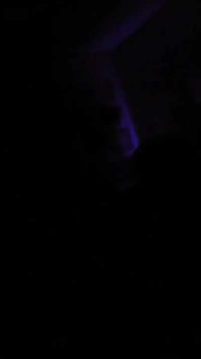 I think there's something in my room.