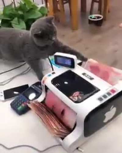 The king’s cat and the high priest came up and tied it in bags and counted the money