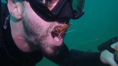 The dentist are a little different in Maui Hawaii
