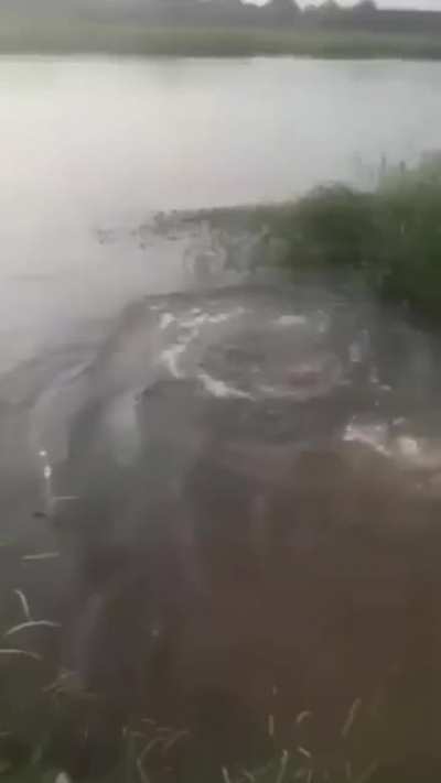 Always remember folks, if the water is murky, don’t go in