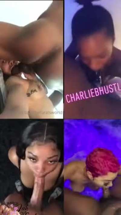 Choose Your Sucker