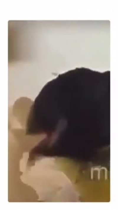 glubglubglub