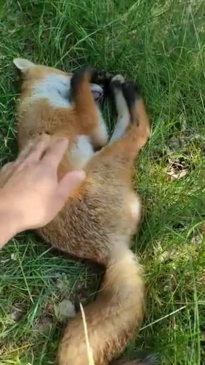 Touch the