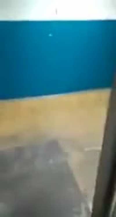 Toss a coin to your elevator