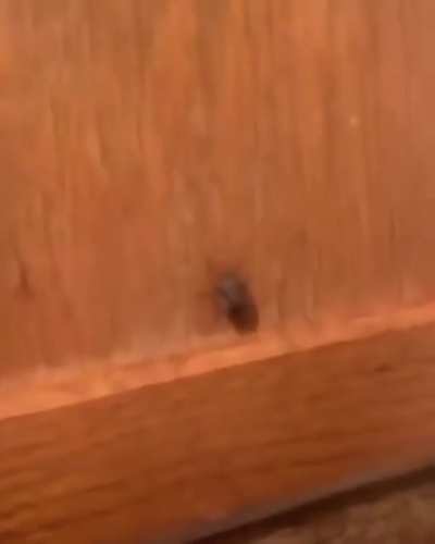 you dead