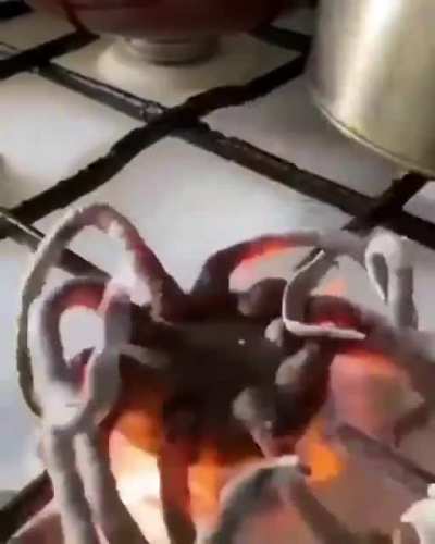 kimyacı var mı
